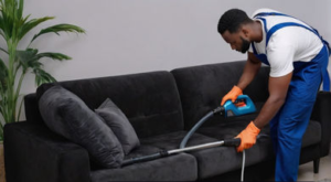 sofa cleaning