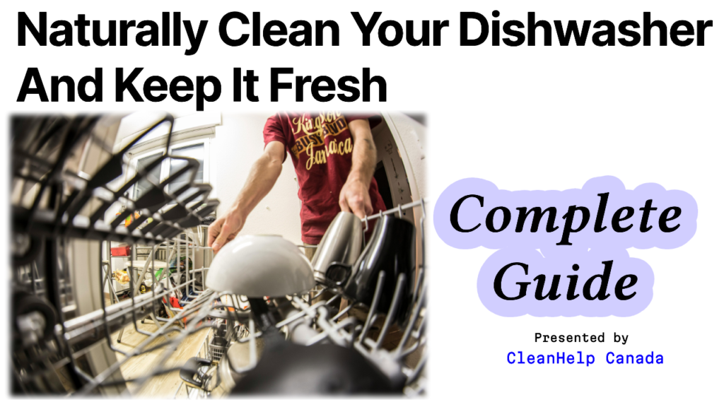 clean your dishwasher