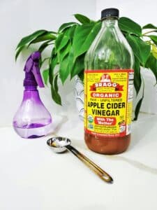 DIY Mattress Cleaning