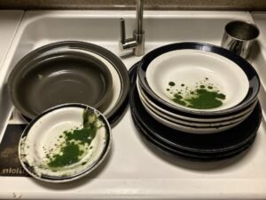 Unattended Dirty Dishes