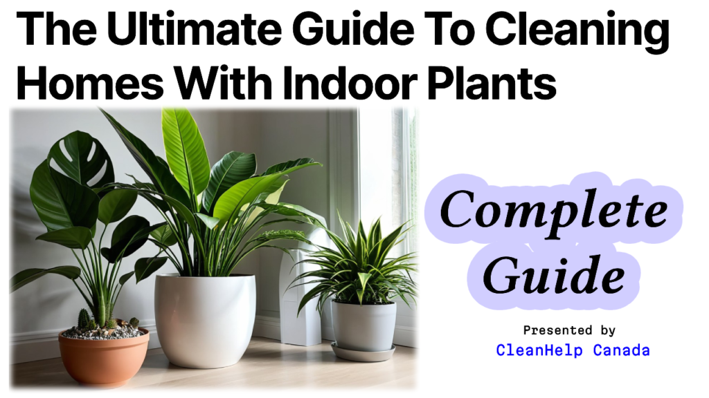 Cleaning with Indoor Plants