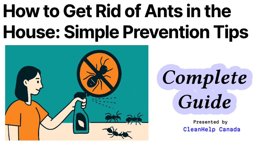 Image about how to get rid of ants in the house